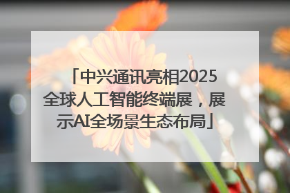 中兴通讯亮相2025全球人工智能终端展，展示AI全场景生态布局