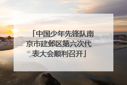 中国少年先锋队南京市建邺区第六次代表大会顺利召开
