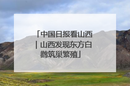 中国日报看山西｜山西发现东方白鹳筑巢繁殖