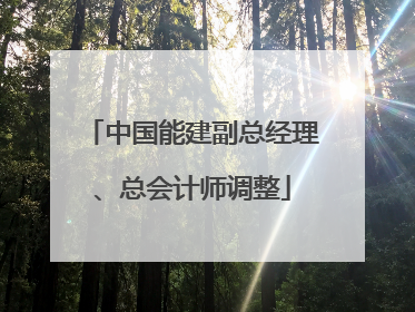 中国能建副总经理、总会计师调整