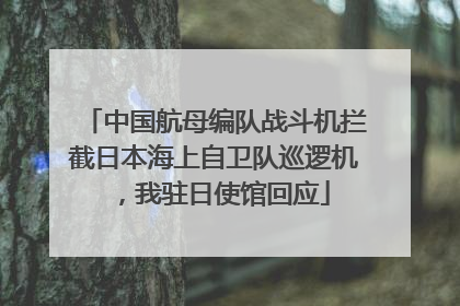 中国航母编队战斗机拦截日本海上自卫队巡逻机，我驻日使馆回应