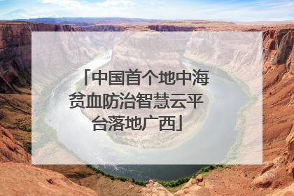 中国首个地中海贫血防治智慧云平台落地广西