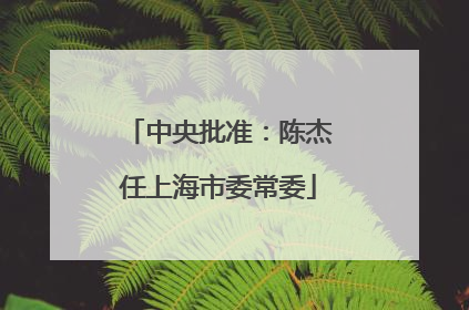 中央批准：陈杰任上海市委常委