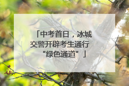 中考首日，冰城交警开辟考生通行“绿色通道”