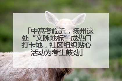 中高考临近，扬州这处“文脉地标”成热门打卡地，社区组织贴心活动为考生鼓劲