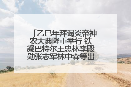 乙巳年拜谒炎帝神农大典隆重举行 铁凝巴特尔王忠林李殿勋张志军林中森等出席 孙伟主持