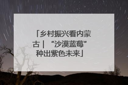 乡村振兴看内蒙古｜“沙漠蓝莓”种出紫色未来