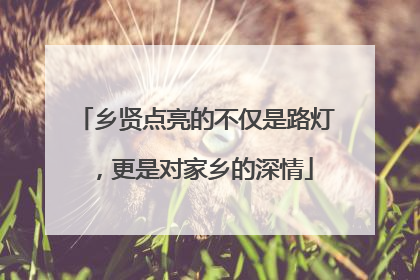 乡贤点亮的不仅是路灯，更是对家乡的深情