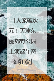 人宠破次元！天津东丽郊野公园上演端午奇幻狂欢