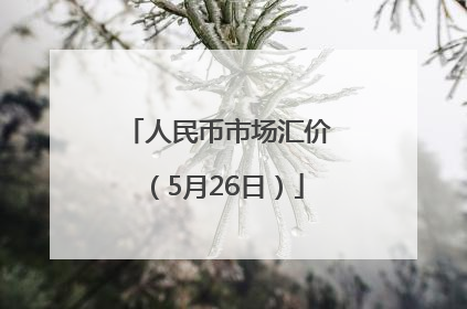 人民币市场汇价（5月26日）