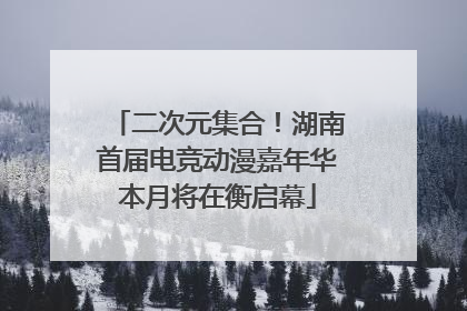 二次元集合！湖南首届电竞动漫嘉年华本月将在衡启幕
