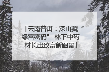 云南普洱：深山藏“绿富密码” 林下中药材长出致富新图景