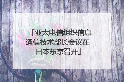 亚太电信组织信息通信技术部长会议在日本东京召开