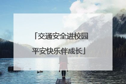 交通安全进校园 平安快乐伴成长