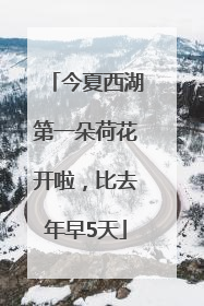 今夏西湖第一朵荷花开啦，比去年早5天