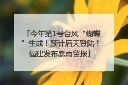 今年第1号台风“蝴蝶”生成！预计后天登陆！福建发布暴雨警报