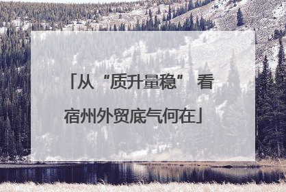 从“质升量稳” 看宿州外贸底气何在