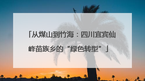 从煤山到竹海：四川宜宾仙峰苗族乡的“绿色转型”