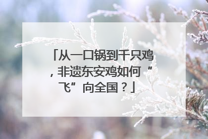 从一口锅到千只鸡，非遗东安鸡如何“飞”向全国？