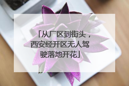 从厂区到街头，西安经开区无人驾驶落地开花