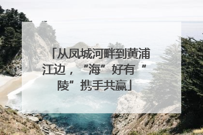 从凤城河畔到黄浦江边，“海”好有“陵”携手共赢