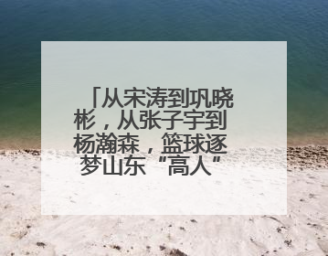 从宋涛到巩晓彬，从张子宇到杨瀚森，篮球逐梦山东“高人”不停歇