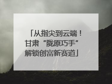 从指尖到云端！甘肃“陇原巧手”解锁创富新赛道