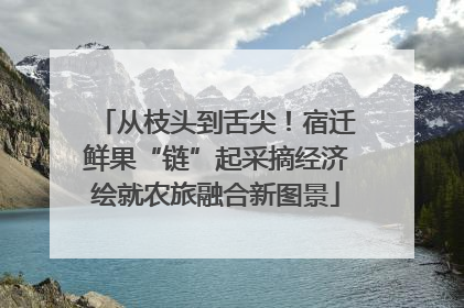 从枝头到舌尖！宿迁鲜果“链”起采摘经济绘就农旅融合新图景