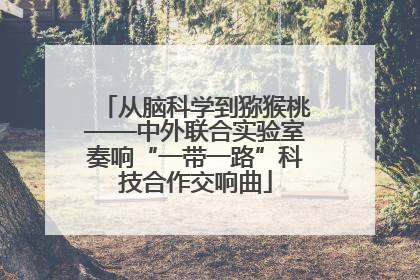 从脑科学到猕猴桃——中外联合实验室奏响“一带一路”科技合作交响曲