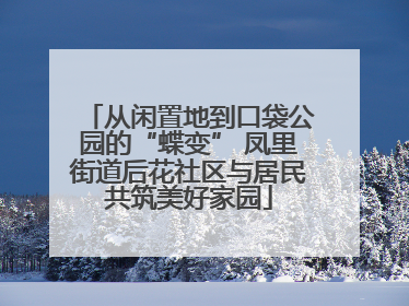 从闲置地到口袋公园的“蝶变” 凤里街道后花社区与居民共筑美好家园
