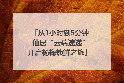 从1小时到5分钟 仙居“云端速递”开启杨梅锁鲜之旅