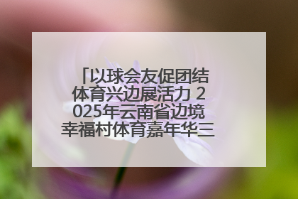 以球会友促团结 体育兴边展活力 2025年云南省边境幸福村体育嘉年华三人篮球赛圆满收官