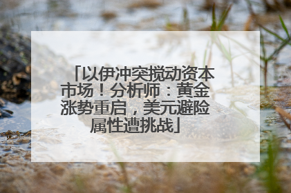 以伊冲突搅动资本市场！分析师：黄金涨势重启，美元避险属性遭挑战