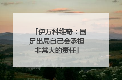 伊万科维奇：国足出局自己会承担非常大的责任