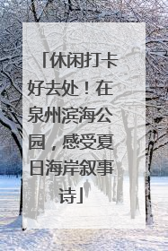 休闲打卡好去处！在泉州滨海公园，感受夏日海岸叙事诗