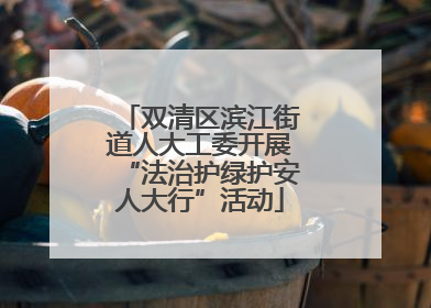 双清区滨江街道人大工委开展“法治护绿护安人大行”活动
