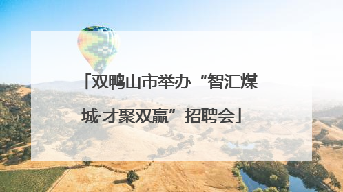 双鸭山市举办“智汇煤城·才聚双赢”招聘会