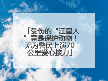 受伤的“汪星人”竟是保护动物！无为警民上演70公里爱心接力