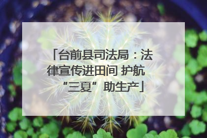台前县司法局：法律宣传进田间 护航“三夏”助生产