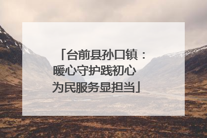 台前县孙口镇：暖心守护践初心 为民服务显担当