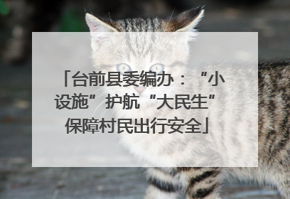 台前县委编办：“小设施”护航“大民生” 保障村民出行安全