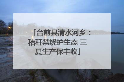 台前县清水河乡：秸秆禁烧护生态 三夏生产保丰收