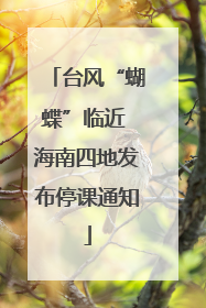 台风“蝴蝶”临近 海南四地发布停课通知