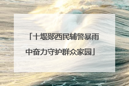 十堰郧西民辅警暴雨中奋力守护群众家园