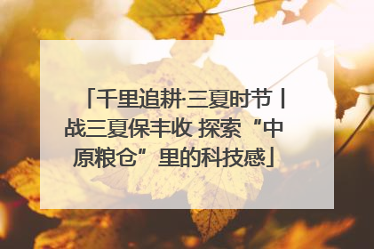 千里追耕·三夏时节丨战三夏保丰收 探索“中原粮仓”里的科技感