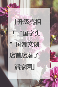 升级亮相！“国字头”国潮文创店首店落子潘家园