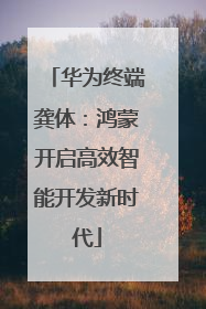 华为终端龚体：鸿蒙开启高效智能开发新时代