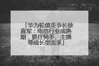华为轮值董事长徐直军：电信行业成熟期，抓住骑手、主播等成长型需求