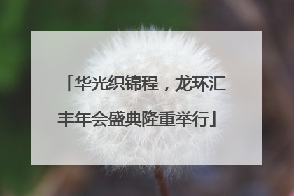 华光织锦程，龙环汇丰年会盛典隆重举行