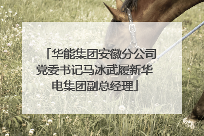 华能集团安徽分公司党委书记马冰武履新华电集团副总经理